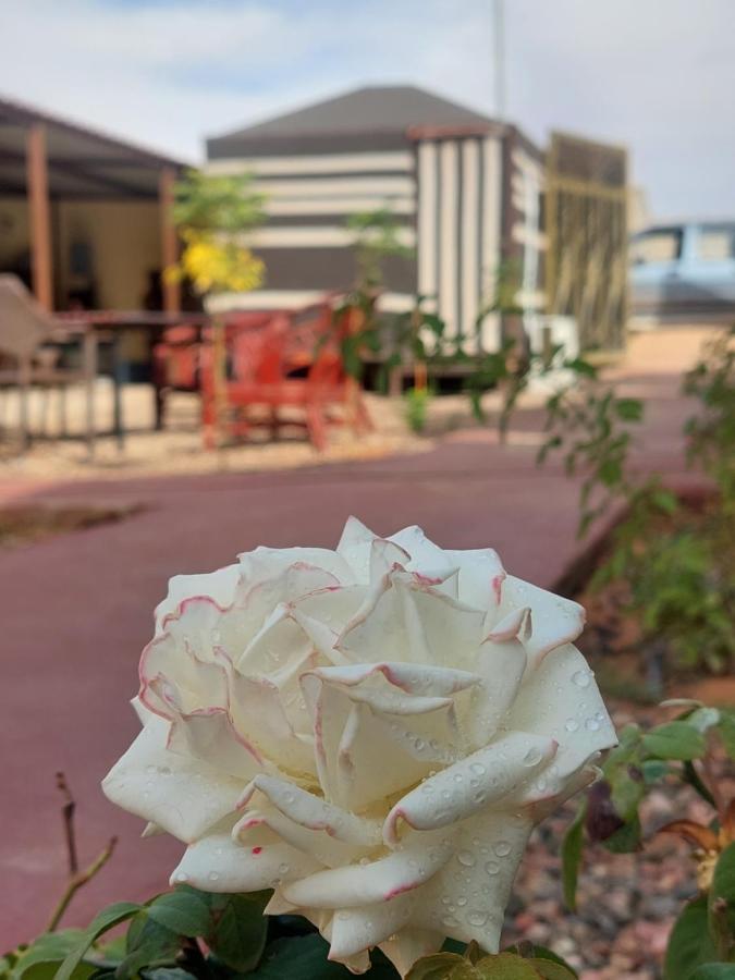 Wadi Rum Oryx Hostel & Tours Dış mekan fotoğraf
