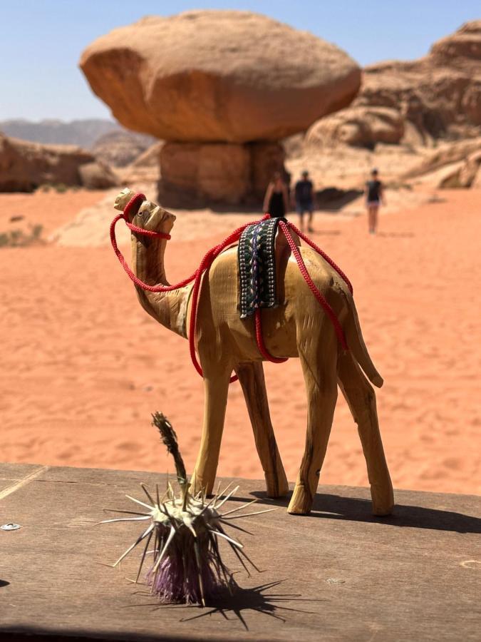Wadi Rum Oryx Hostel & Tours Dış mekan fotoğraf